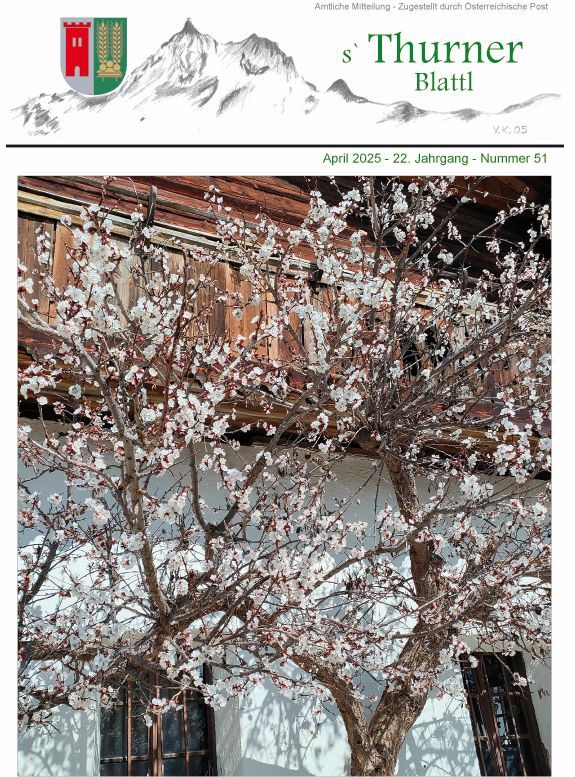 Apfelbaum in Blüte vor einem Haus